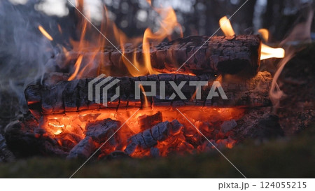Beautiful Crackling Campfire in a Spring Forest , Authentic Place Beautiful Crackling Campfire in a Spring Forest , Authentic Place 124055215