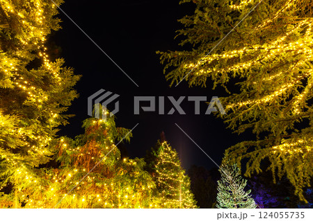 ライトアップの紅葉　国営武蔵丘陵森林公園 124055735