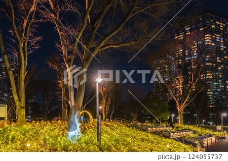 イルミネーションの新宿中央公園 124055737
