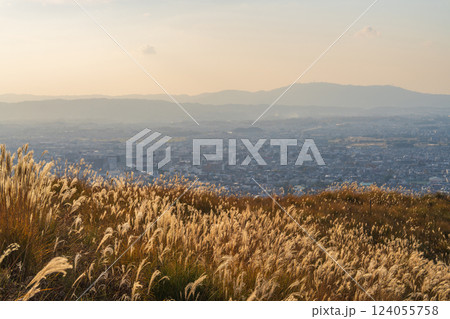【秋】奈良公園 若草山からの眺望 【秋】奈良公園 若草山からの眺望 124055758