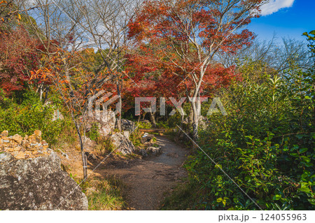 浜松市にある舘山寺の紅葉の風景(静岡県) 124055963