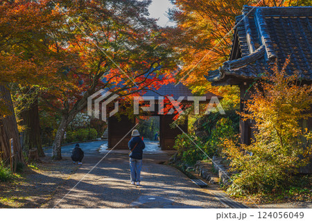豊橋市にある紅葉に包まれた普門寺の仁王門の風景(愛知県) 124056049