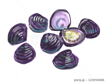 新鮮で美味しそうなしじみの水彩イラスト 新鮮で美味しそうなしじみの水彩イラスト 124056066