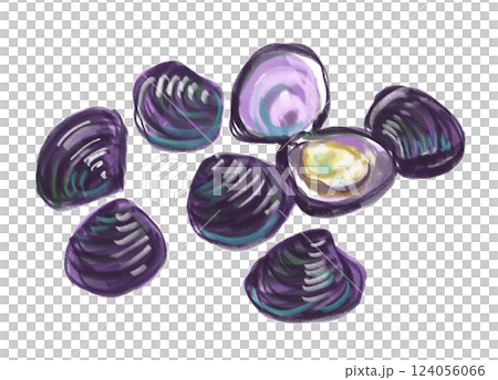 新鮮で美味しそうなしじみの水彩イラスト 新鮮で美味しそうなしじみの水彩イラスト 124056066