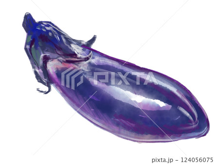 新鮮で美味しそうな茄子の水彩イラスト 124056075