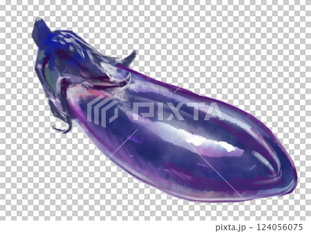 新鮮で美味しそうな茄子の水彩イラスト 124056075