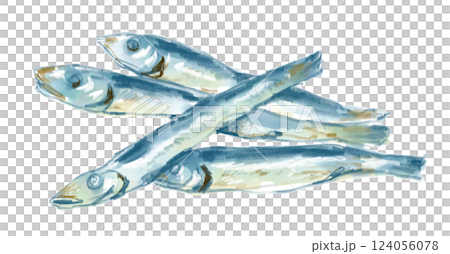 美味しそうな煮干しの水彩イラスト 美味しそうな煮干しの水彩イラスト 124056078