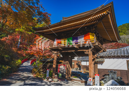 豊橋市にある紅葉に包まれた普門寺の鐘楼門の風景(愛知県) 124056088