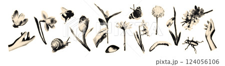 Spring flowers halftone collage elements set. Paper clipping shapes, floral stickers with vintage dotted texture, bugs, butterfly, snail. Modern retro mixed media vector illustration for scrapbook 124056106