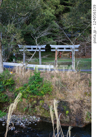 樋渡川と諏訪神社（鹿児島県薩摩川内市東郷町斧渕）　並立鳥居 124056339