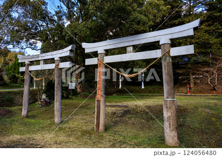 諏訪神社（鹿児島県薩摩川内市東郷町斧渕）　並立鳥居 124056480