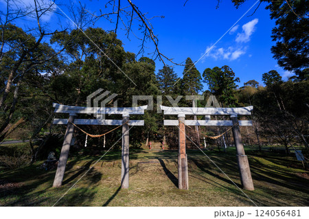 諏訪神社（鹿児島県薩摩川内市東郷町斧渕）　並立鳥居 124056481