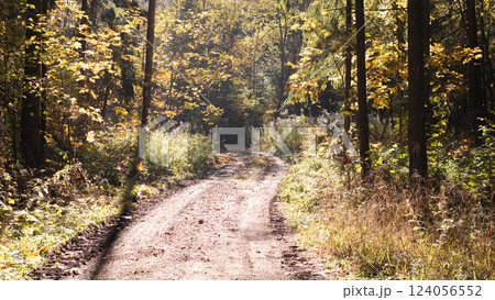 A winding dirt path meanders through a sunlit forest with vibrant autumn foliage, providing peace and serenity 124056552