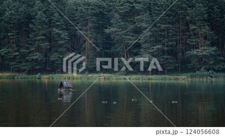 The tranquil lake is nestled beside a lush forest of tall pine trees. The tranquil lake is nestled beside a lush forest of tall pine trees. 124056608