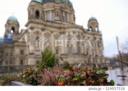 Colorful Plants in Front of Berlin Cathedral  124057316