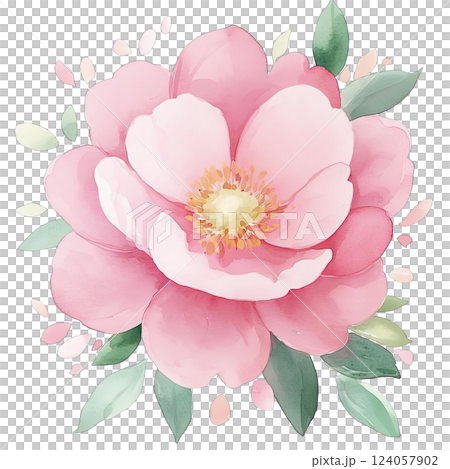 Beautiful pink peony blooming with delicate petals and green leaves in soft watercolor style 124057902