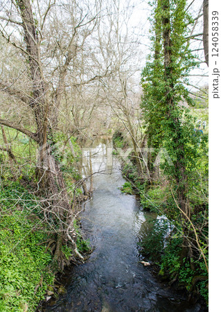 春先の枝木と苔やツタが巻き付いた木々の間を流れる細い小川　ロンドン郊外のウーズ渓谷にて 124058339