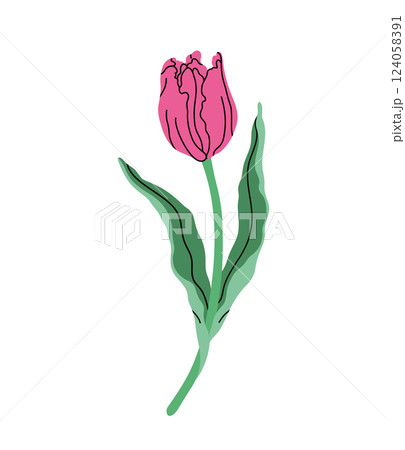 Stylized pink tulip illustration. Wavy green leaves in modern minimalist design. Botanical artwork for wall art, invitation, greeting card, floral branding. Vector illustration in flat elegant style. 124058391