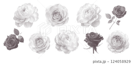 Contemporary scrapbooking elements. Trendy dotted halftone collage of roses nd peonies. Mixed media magazine clippings. Vintage herbarium. 124058929