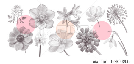 Spring Flowers dotted halftone art collage set. Spring floral stickers. Modern retro grunge mixed media vector illustration Spring Flowers dotted halftone art collage set. Spring floral stickers. Modern retro grunge mixed media vector illustration 124058932