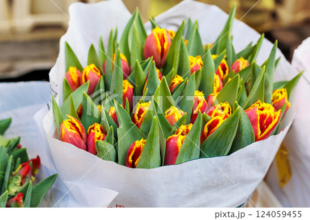 Close-up rows fresh yellow Dutch tulip bouquets wrapped white paper vibrant street flower market sale. Lot multicolored tulips bouquets. Floral blooming wholesale retail plant store. Florist service Close-up rows fresh yellow Dutch tulip bouquets wrapped white paper vibrant street flower market sale. Lot multicolored tulips bouquets. Floral blooming wholesale retail plant store. Florist service 124059455
