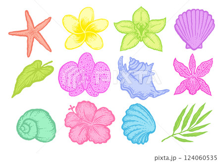 Exotic flowers and seashells bright decorative sketches set. Ink hand drawn color vector illustration on white background. Exotic flowers and seashells bright decorative sketches set. Ink hand drawn color vector illustration on white background. 124060535