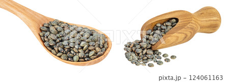 raw french green lentils in wooden spoon and scoop isolated on white background with full depth of field 124061163