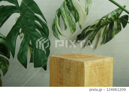 Wooden podium display scene stage showcase front view with copy space and monstera leaves decoration on concrete background Wooden podium display scene stage showcase front view with copy space and monstera leaves decoration on concrete background 124061209