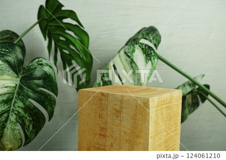 Wooden podium display scene stage showcase front view with copy space and monstera leaves decoration on concrete background Wooden podium display scene stage showcase front view with copy space and monstera leaves decoration on concrete background 124061210