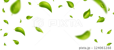 Green tea leaves frame. Natural vivid plants. Leaf flying. Wave foliage ornament. Vegan, eco, organic design element. Cosmetic pattern border. Beauty product. Fresh herbal. Vector illustration Green tea leaves frame. Natural vivid plants. Leaf flying. Wave foliage ornament. Vegan, eco, organic design element. Cosmetic pattern border. Beauty product. Fresh herbal. Vector illustration 124061288
