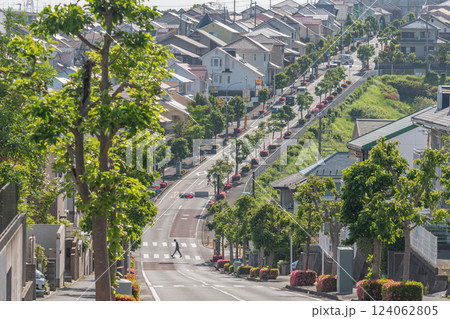 丘陵住宅街の街路 丘陵住宅街の街路 124062805