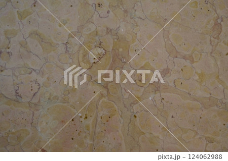 大理石壁面のアンモナイト化石 124062988