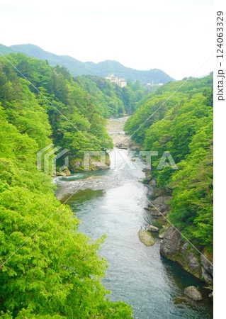 鬼怒楯岩大吊橋から見える自然いっぱいの鬼怒川。栃木県へ旅行。 124063329