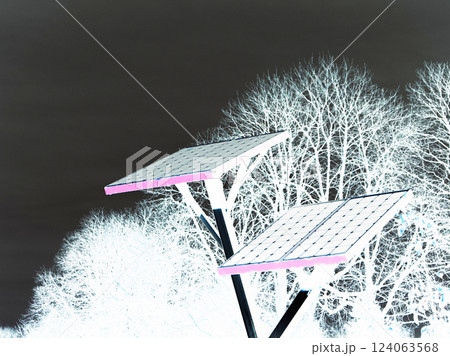 Solar power panels in urban park. Using solar battery, generator for charging in a gardening, agriculture, horticulture. Electricity production Ecology 124063568