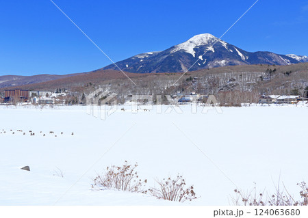 3月の白樺湖と蓼科山 3月の白樺湖と蓼科山 124063680