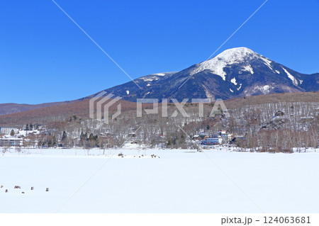 3月の白樺湖と蓼科山 3月の白樺湖と蓼科山 124063681