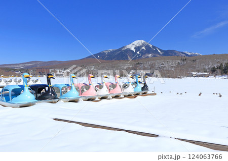 3月の白樺湖と蓼科山 124063766