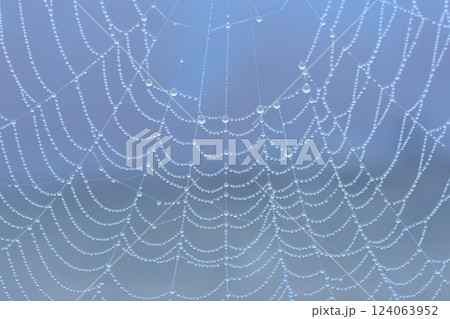朝露の水玉パターンのイメージ素材 朝露の水玉パターンのイメージ素材 124063952