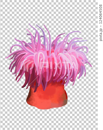 イソギンチャク（レッド） 124064508