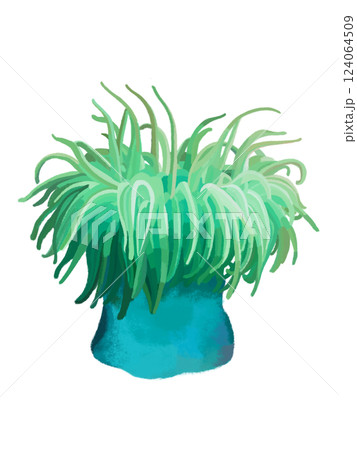 イソギンチャク（グリーン） 124064509