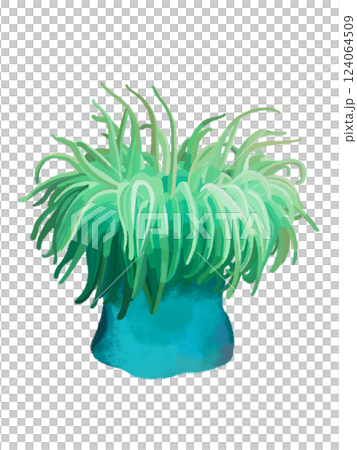 イソギンチャク（グリーン） 124064509