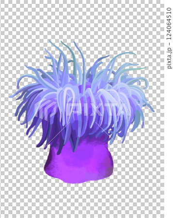 イソギンチャク（パープル） 124064510