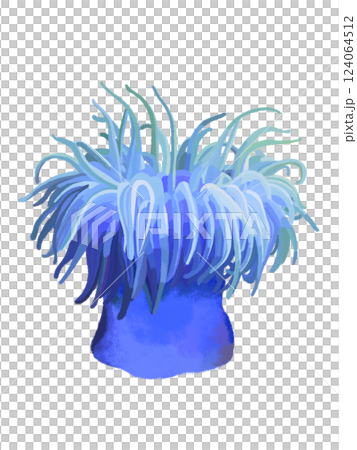Sea anemone (blue) Sea anemone (blue) 124064512