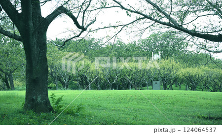 公園広場　青葉の森公園 124064537