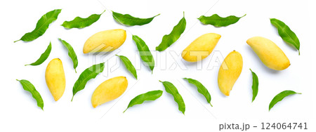 Tropical fruit, Mango on white background. Tropical fruit, Mango on white background. 124064741