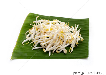 Bean sprouts on banana leaf Bean sprouts on banana leaf 124064960