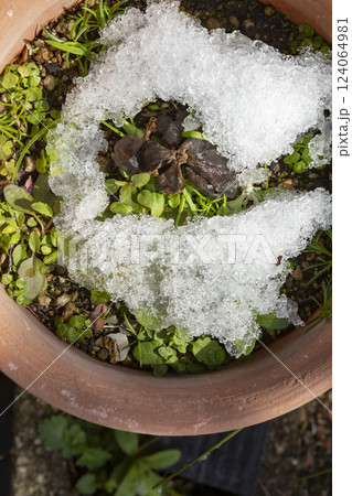 畑の残雪 124064981