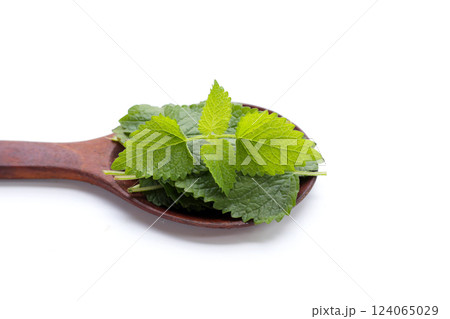 Fresh lemon balm on white background. Fresh lemon balm on white background. 124065029