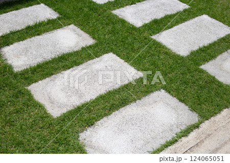 Walkway cement block on fresh lawn grass. Beautiful green garden 124065051