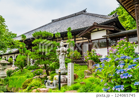 茨城 雨引観音　紫陽花の咲く奥の院 124065745